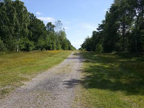 House | Miscellaneous