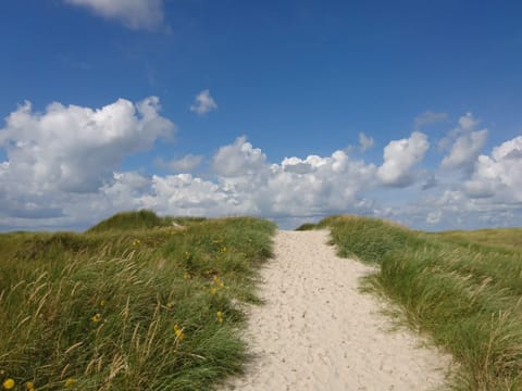 House | Beach