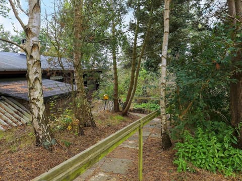 House | View from property