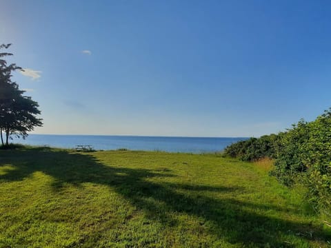 House | Miscellaneous