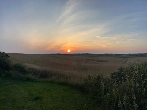 House | Miscellaneous