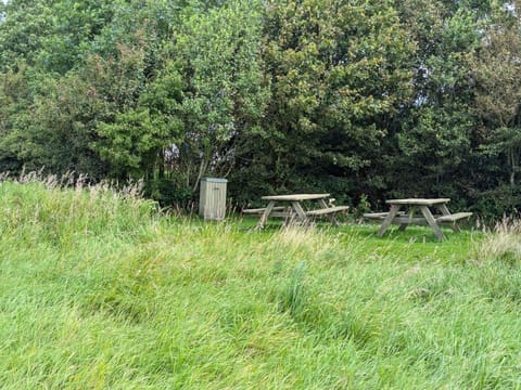House | Outdoor dining