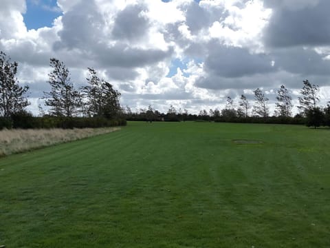 House | Miscellaneous