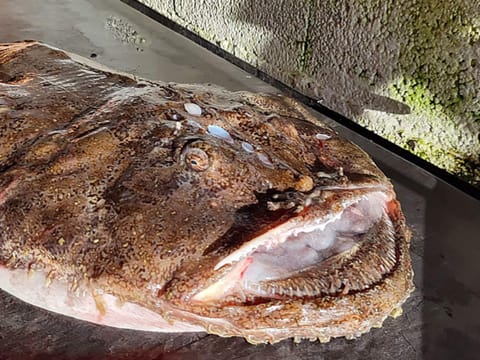 House | Miscellaneous