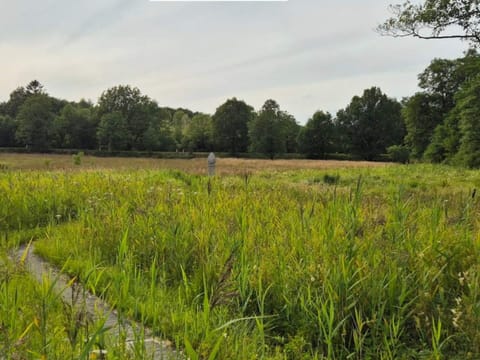 House | Miscellaneous