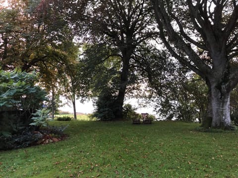 House | Property grounds