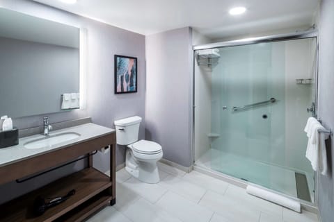 Suite, 1 King Bed with Sofa bed (Specialty) | Bathroom | Combined shower/tub, eco-friendly toiletries, hair dryer, towels