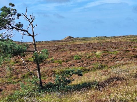 House | Miscellaneous