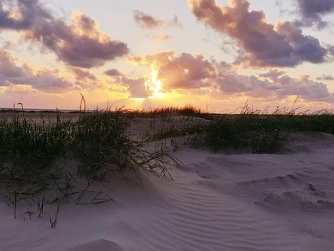 House | Beach