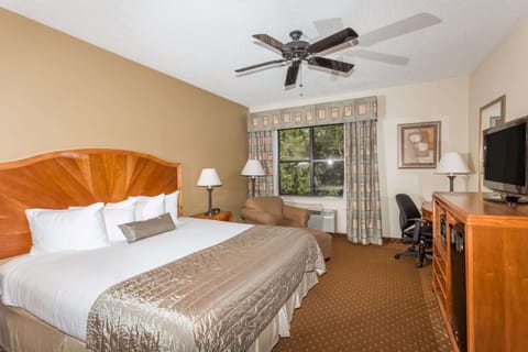 Studio Suite, 1 King Bed, Non Smoking | Pillowtop beds, desk, blackout drapes, iron/ironing board