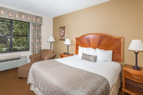 Standard Room, 1 King Bed | Pillowtop beds, in-room safe, desk, blackout drapes