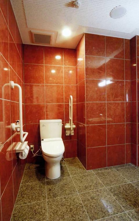 Combined shower/tub, free toiletries, hair dryer, bathrobes