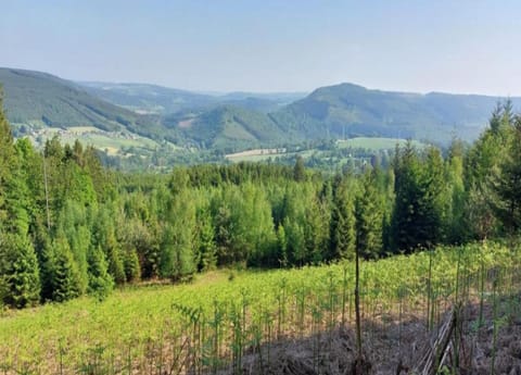 Cottage | View from property