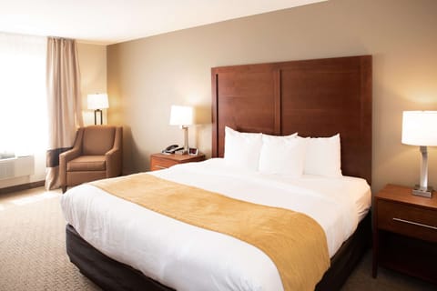 Standard Room, 1 King Bed, Non Smoking | Premium bedding, down comforters, blackout drapes, iron/ironing board