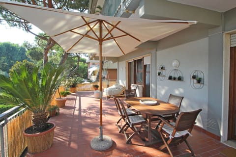 Balcony / Terrace / Patio