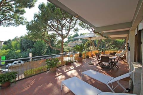 Balcony / Terrace / Patio