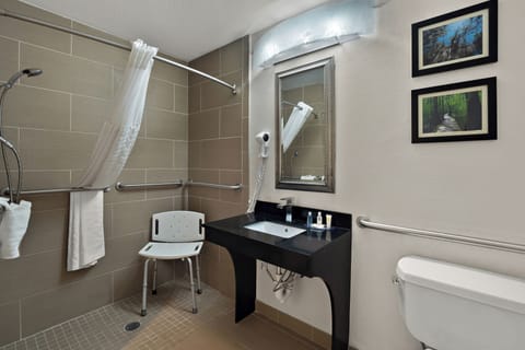 Room, 1 King Bed, Accessible, Non Smoking | Bathroom | Combined shower/tub, hair dryer, towels