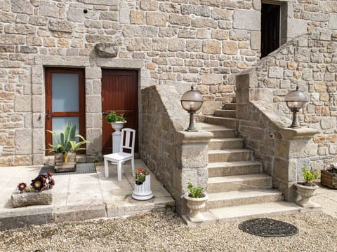 Plant, Property, Building, Flowerpot, Houseplant, Window, Interior Design, Flooring, Stairs, Brick