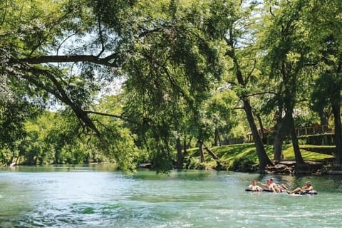 Looking Down River From Our Access