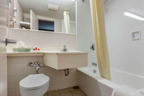 Combined shower/tub, free toiletries, hair dryer, towels