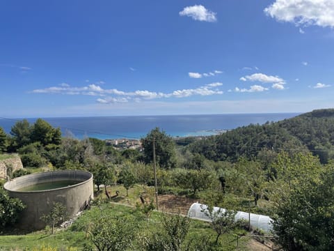 Wood, Wood Stain, Plank, Hardwood, Lumber, Gas, Shelving, Plywood, Natural Material