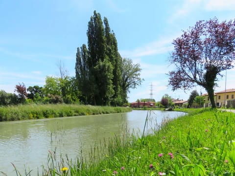 Natural Landscape, Natural Environment, Tree, Bank, Vegetation, River, Waterway, Nature Reserve, Grass, Canal