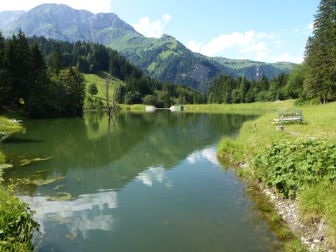 Apartment | View from property