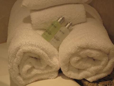 Plymouth Suite | Bathroom | Combined shower/tub, free toiletries, hair dryer, towels