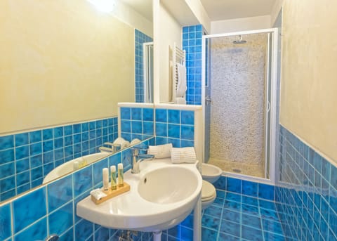 Classic Double Room | Bathroom | Shower, free toiletries, hair dryer, bathrobes