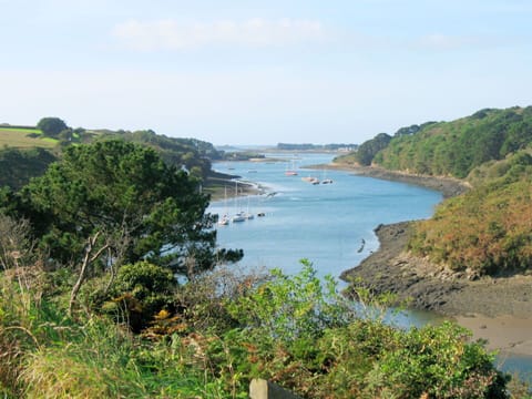 Sky, Building, Plant, Urban Design, Tower Block, Condominium, Real Estate, City, Facade, Commercial Building
