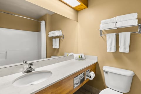 Combined shower/tub, hair dryer, towels