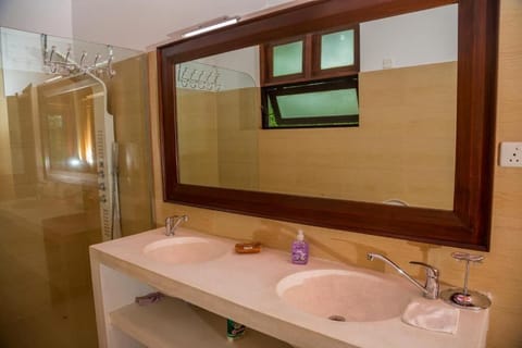 Deluxe Villa | Bathroom | Shower, free toiletries, towels, soap