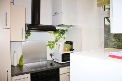 Standard Apartment, 1 Bedroom, Kitchen | Private kitchen | Full-size fridge, microwave, stovetop, dishwasher