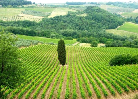 House | View from property