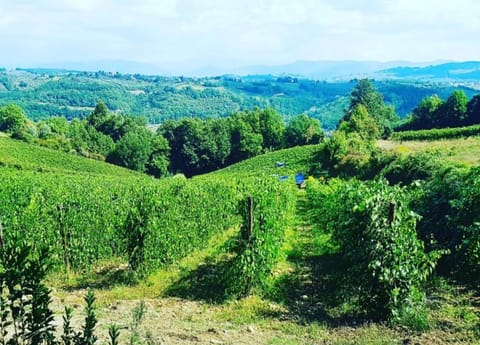 House | View from property