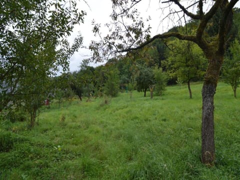 House | View from property