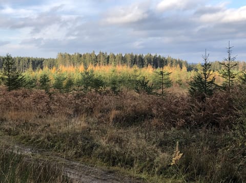 Cottage | Interior detail