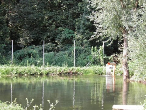 House | View from property