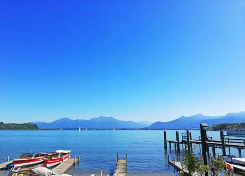 Apartment | View from property