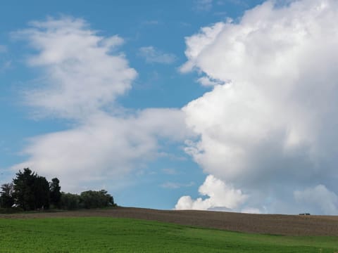 House | View from property