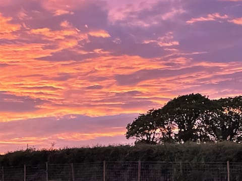 View | Bwthyn Y Bugail, Abercych, near Cardigan