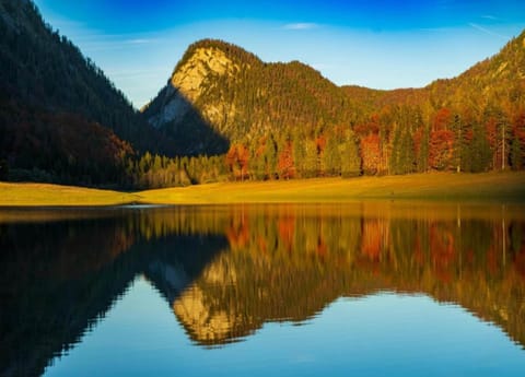 Apartment | View from property