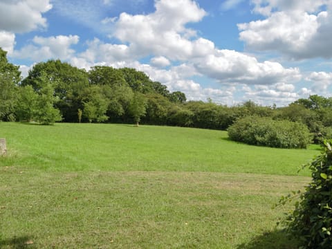 Surrounding area | Woodpecker Rest, Llechryd, near Cardigan
