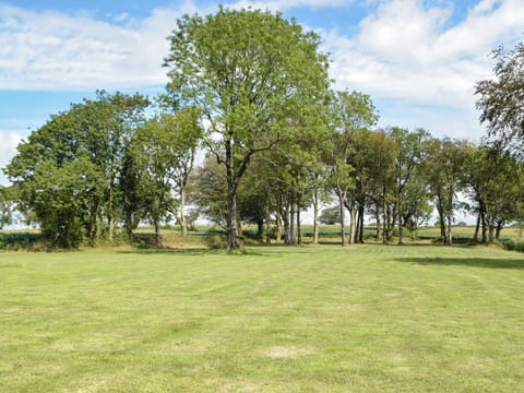 View | Swn-Y-Don, Llansteffan