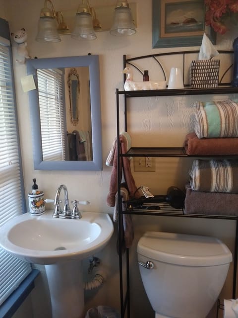 Room, 1 King Bed (Service Animals Friendly) | Bathroom | Shower, free toiletries, hair dryer, towels