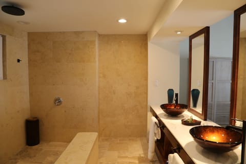 Seafront Suites | Bathroom | Free toiletries, hair dryer, towels, soap