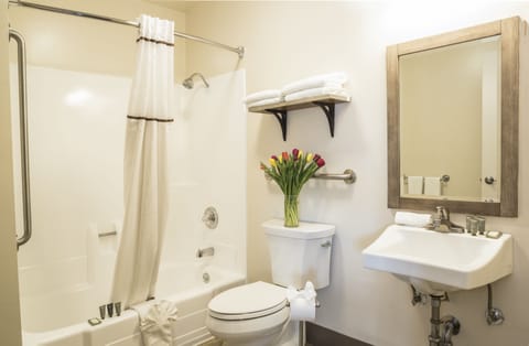 Business Room, 1 Queen Bed | Bathroom | Combined shower/tub, free toiletries, hair dryer, towels