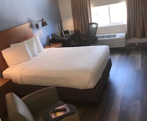 Business Room, 1 Queen Bed | Iron/ironing board, free WiFi, bed sheets, alarm clocks