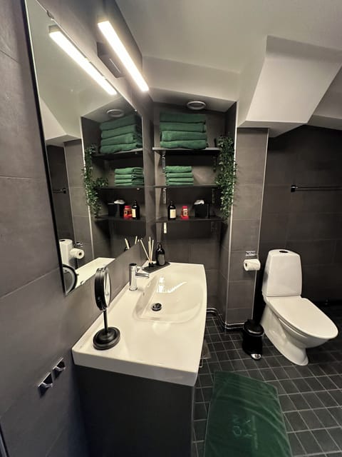 Executive Suite | Bathroom | Shower, eco-friendly toiletries, hair dryer, towels