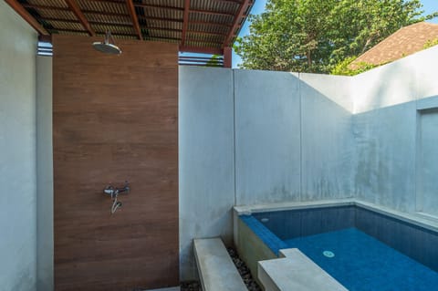 Villa Plunge Pool | Private pool